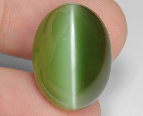Cat's Eye-1 (Lehsunia)